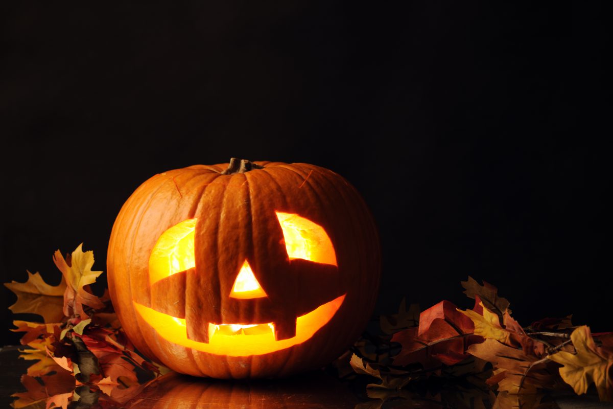 Okay Google, Let’s Get Spooky!